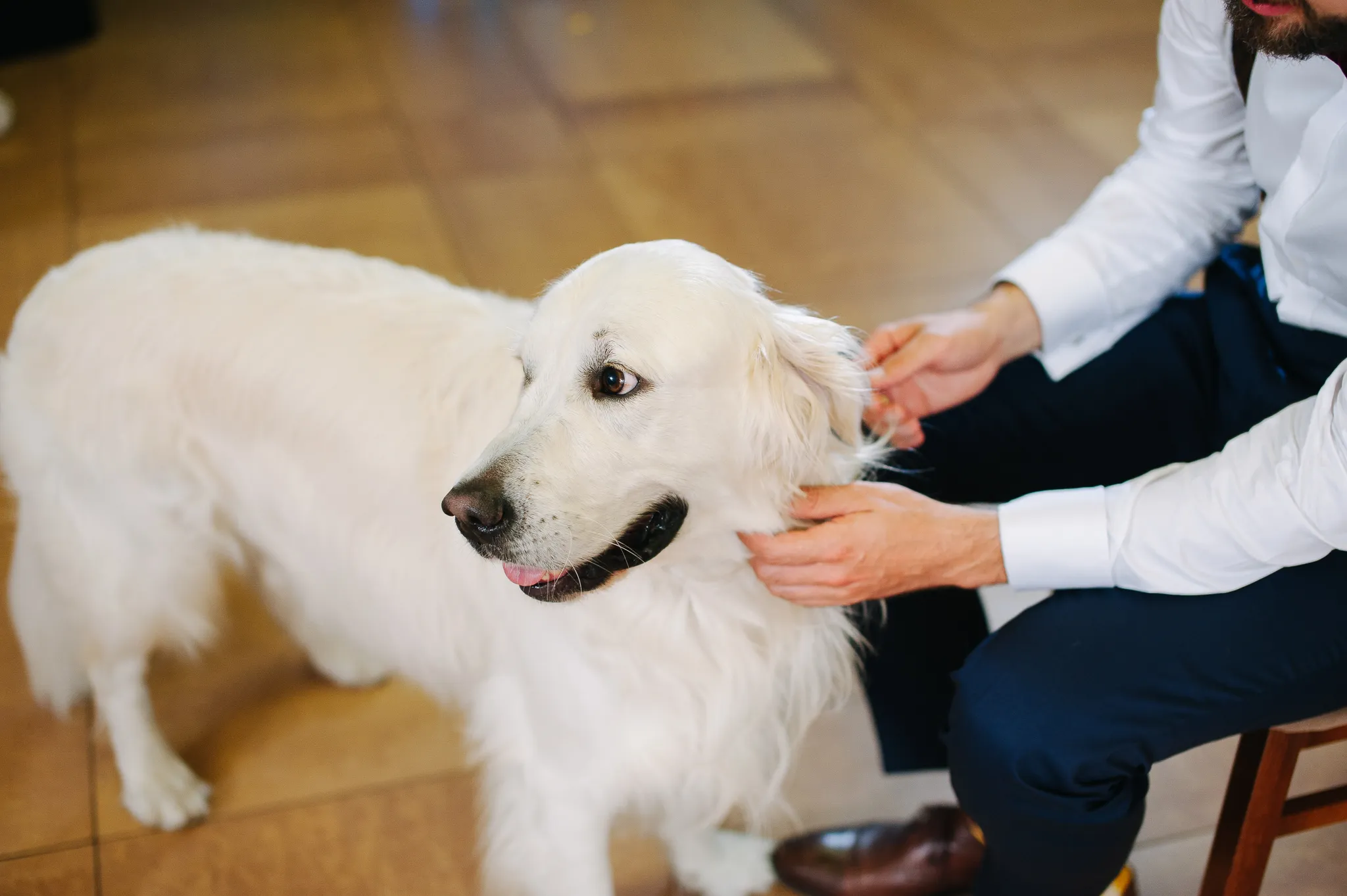 Zdjęcie galerii 152